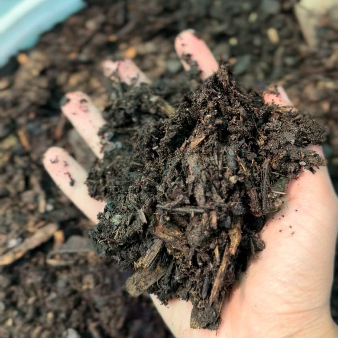 A closer look at Panya compost