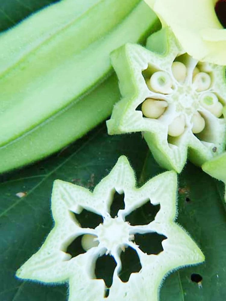 Green Star