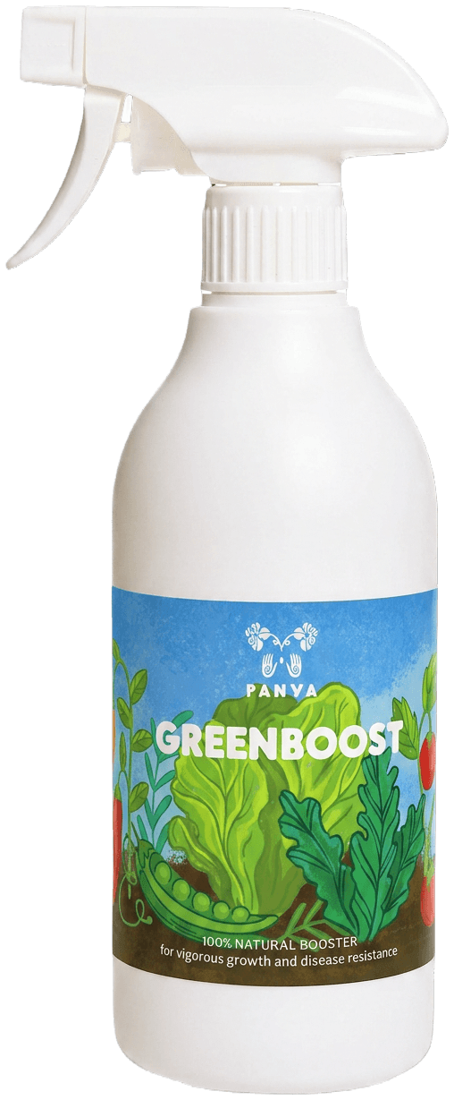 GreenBoost All Purpose 500 ml