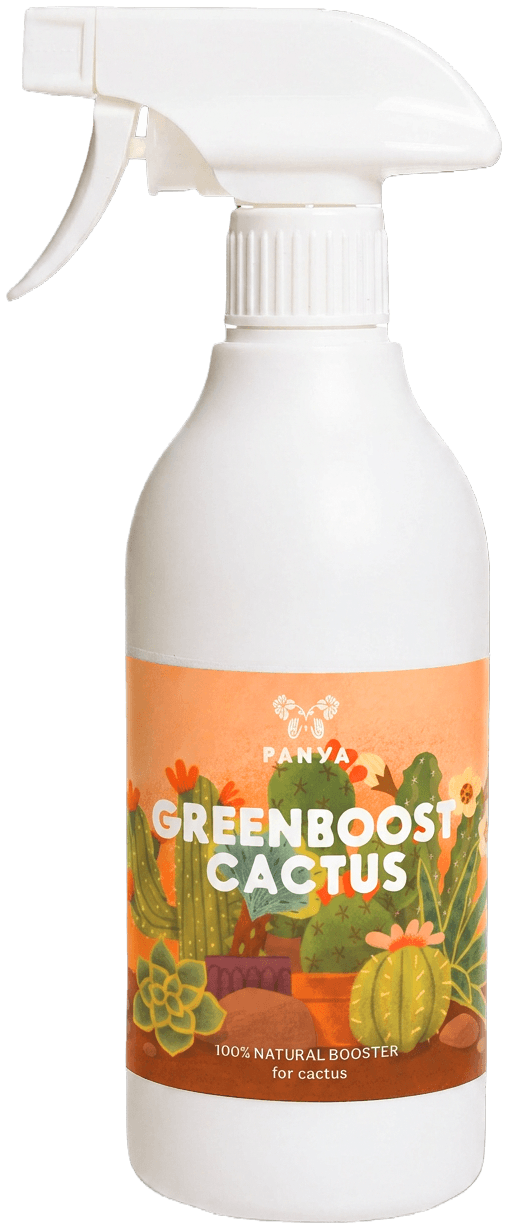 GreenBoost Cactus 500 ml