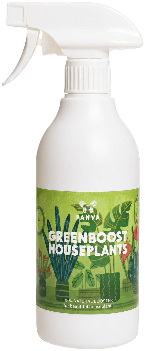 GreenBoost Houseplants 500 ml